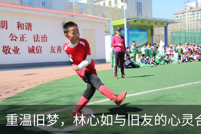 重温旧梦，林心如与旧友的心灵合唱